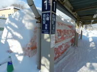 清水織部さんの投稿した写真