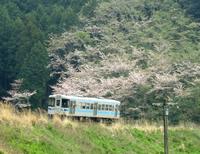 かなた。さんの投稿した写真