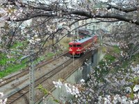 清水織部さんの投稿した写真