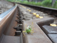 kamさんの投稿した写真