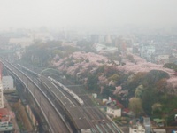 十和田 七百 三沢さんの投稿した写真