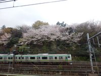 十和田 七百 三沢さんの投稿した写真