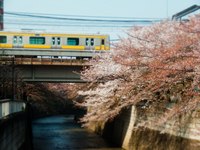 十和田 七百 三沢さんの投稿した写真