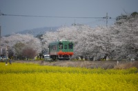 パノパナさんの投稿した写真