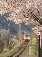 かなた。さんの投稿した写真