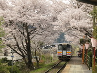 かなた。さんの投稿した写真