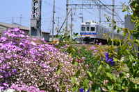 関空快速日根野行さんの投稿した写真