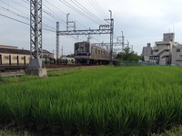 関空快速堺市行きさんの投稿した写真