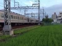 関空快速堺市行きさんの投稿した写真