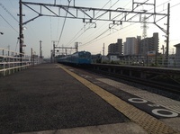 関空快速堺市行きさんの投稿した写真