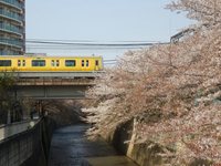 十和田 七百 三沢さんの投稿した写真