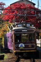 ラッピング電車さんの投稿した写真