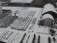 京浜急行２１００系さんの投稿した写真