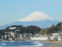 ホリデー快速奥多摩さんの投稿した写真