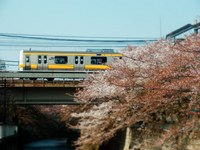 甲武汽車さんの投稿した写真