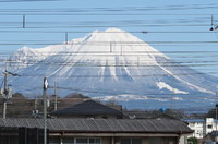 かなた。さんの投稿した写真