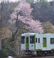 快速会津田島行さんの投稿した写真