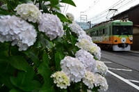 ラッピング電車さんの投稿した写真