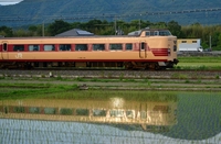 ラッピング電車さんの投稿した写真