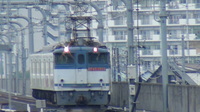 E501系 常磐線さんの投稿した写真