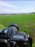 快速会津田島行さんの投稿した写真