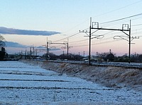 東急池上線1000系さんの投稿した写真