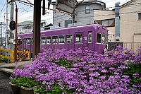 ラッピング電車さんの投稿した写真