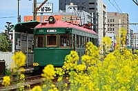 ラッピング電車さんの投稿した写真