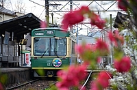 ラッピング電車さんの投稿した写真