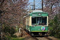 ラッピング電車さんの投稿した写真