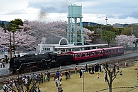 ラッピング電車さんの投稿した写真