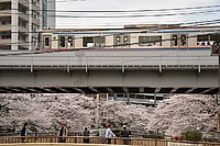 甲武汽車さんの投稿した写真