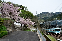 ラッピング電車さんの投稿した写真