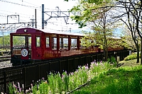 ラッピング電車さんの投稿した写真