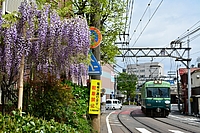 ラッピング電車さんの投稿した写真