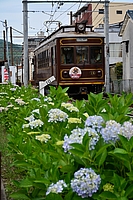 ラッピング電車さんの投稿した写真