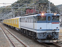 甲種輸送富士川・蒲原駅さんの投稿した写真