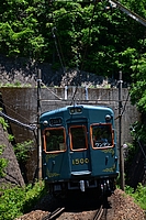 ラッピング電車さんの投稿した写真