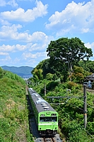 ラッピング電車さんの投稿した写真