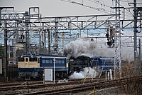 ラッピング電車さんの投稿した写真