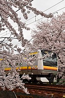 甲武汽車さんの投稿した写真