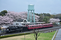 ラッピング電車さんの投稿した写真