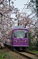 ラッピング電車さんの投稿した写真