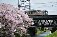 ラッピング電車さんの投稿した写真