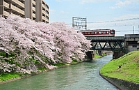 ラッピング電車さんの投稿した写真