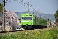 ラッピング電車さんの投稿した写真