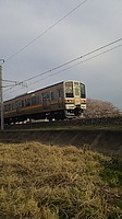 Ｅ5系&C6120さんの投稿した写真