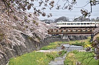 甲武汽車さんの投稿した写真