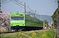 ラッピング電車さんの投稿した写真