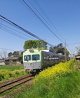 Ｅ5系&C6120さんの投稿した写真